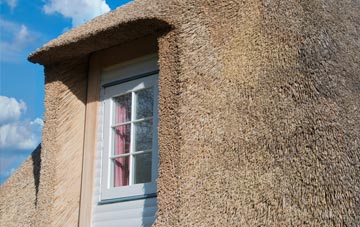 Deebank thatch roof disadvantages